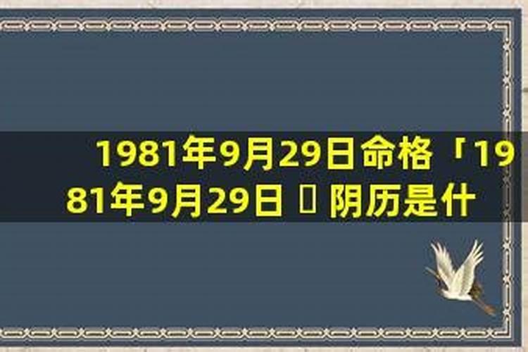 1981年阴历9月23出生运势