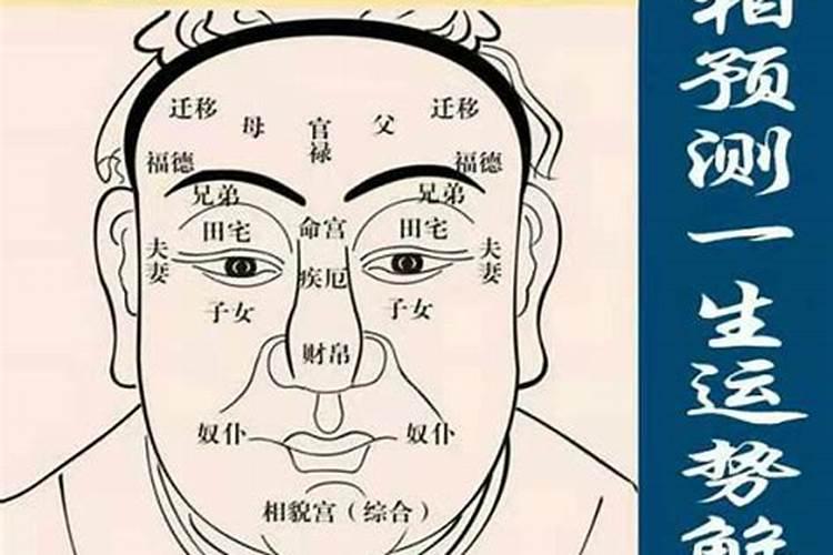 面测八字该怎么分析