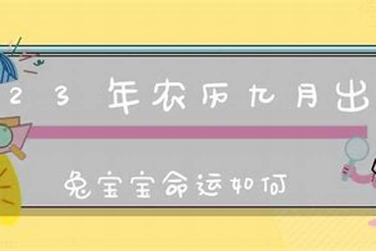 农历9月兔的命运如何