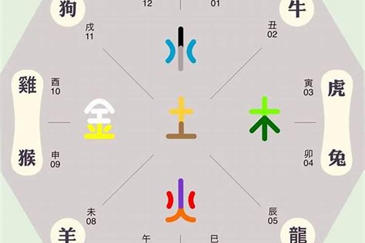 数字五行属什么生肖