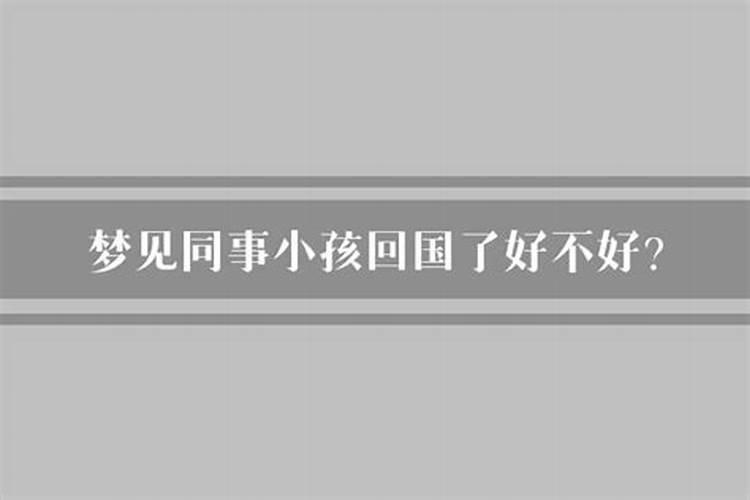 梦见马挣扎着死了