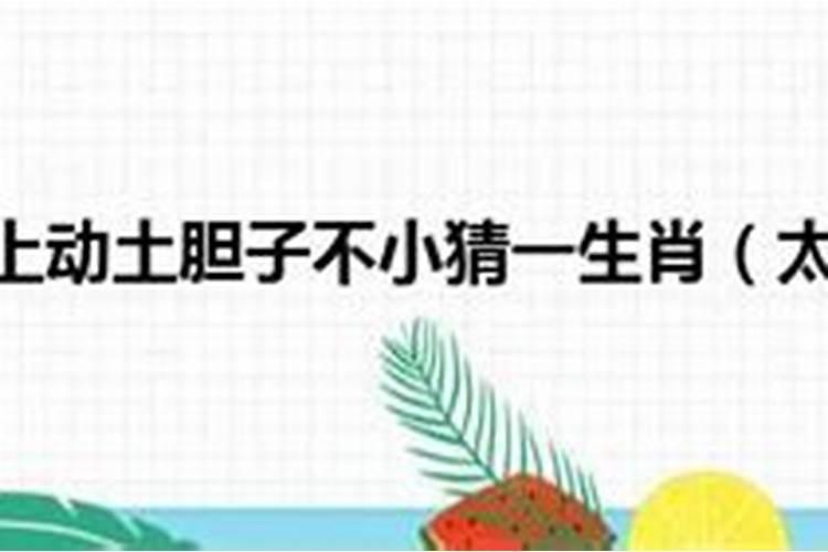 敢在太岁头上动土</p><p>敢在太岁头上动土——胆子不小，后果很严重 “敢在太岁头上动土”是一句广为人知的歇后语，它的含义是形容某人胆子极大，敢于冒险，甚至敢于冒犯那些权势极大、地位极高的人或物。这里的“太岁”原指中国古代神话中的太岁神，每年都有一个太岁轮流值班，掌管人间一年的。</p><p>敢在太岁头上动土</p><p>敢在太岁头上动土老鼠 </p><p>敢在太岁头上动土</p><p>猴 </p><p>敢在太岁头上动土,,, ,胆子不少。。猜一个生肖</p><p>题主你好，应该是老鼠，太岁一般在土里，老鼠打洞 </p><p>歇后语敢在太岁头上动土胆子不小猜一生肖,太岁到底是什么</p><p>结论：在歇后语中，"敢在太岁头上动土"通常用来形容某人有极大的胆量，尤其是在传统观念中被视为禁忌的领域。对于这一描述，猜一生肖的问题，根据给出的线索，答案似乎是老鼠。这个比喻源于古代人们认为老鼠打洞会触动守护神（太岁），而老鼠的胡须又被认为象征着老虎的胡须，因此，大胆的行为被比喻为老鼠。</p><p>歇后语敢在太岁头上动土、、、胆子不小,打一生肖!</p><p>老鼠  太岁头上动土，老虎嘴上拔毛 胆子不小 因为以前人们认为老鼠打洞 动太岁  老鼠的胡子是老虎（谐音）的胡子 </p>		</div>
        </article>
		<div class=