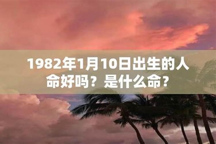 1982年腊月出生男一生运程