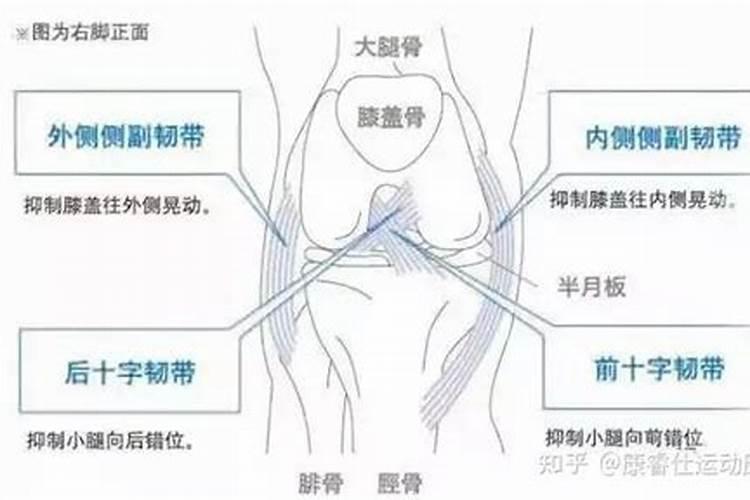 1967年农历6月13号是什么星座