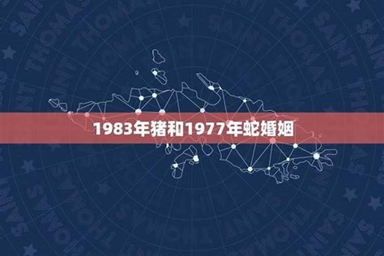 83年77年八字合吗