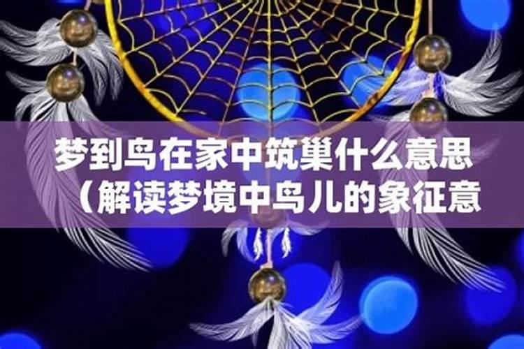 做梦梦到鸟是什么意思