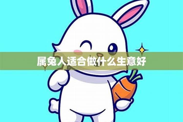 属兔的人创业做什么行业