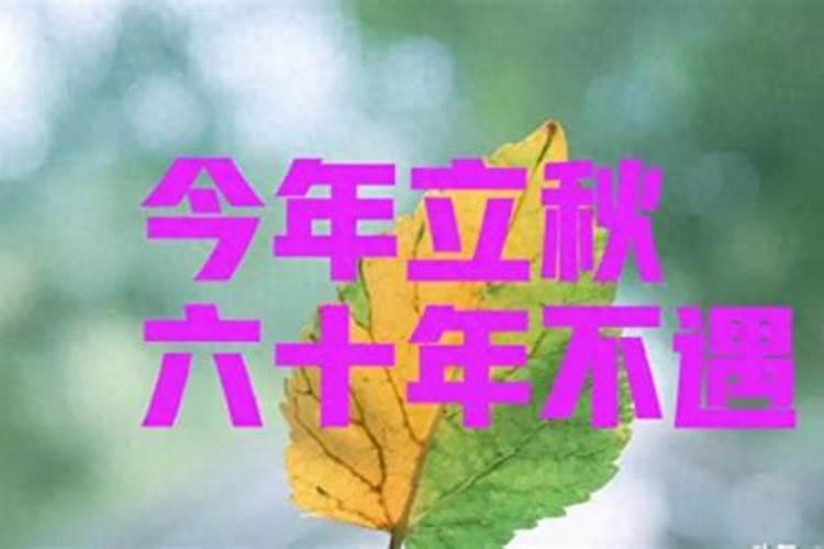 1991年的立秋是哪一天