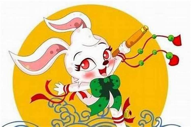 属兔子今年运势好不好