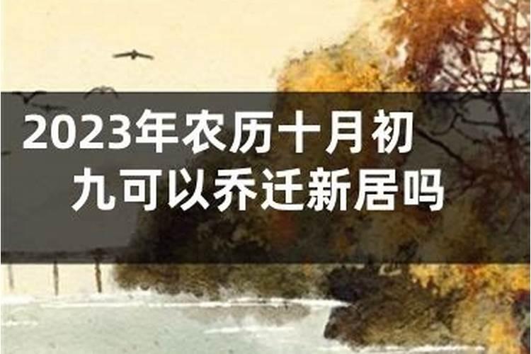 为什今年不顺