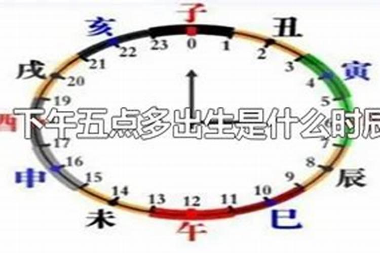 下午五点半生的生辰八字属什么