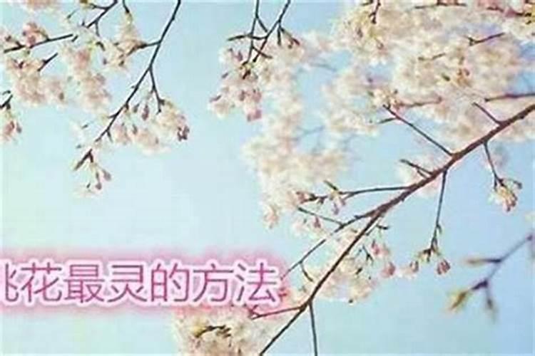 斩桃花