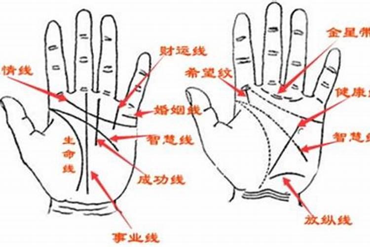 看手相怎么看姻缘