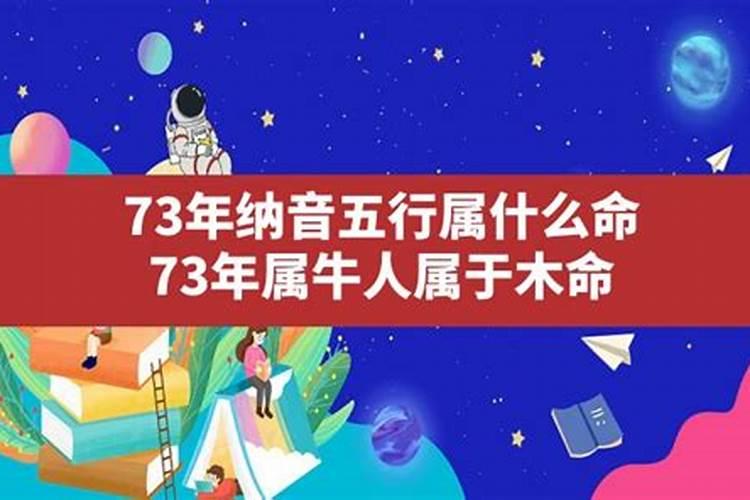 73年牛是什么命,是属猪