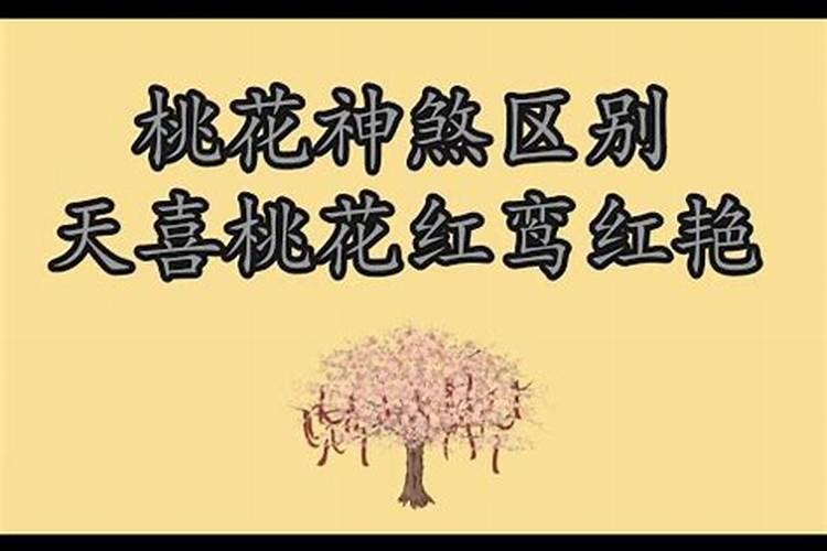 八字里有天喜桃花好吗