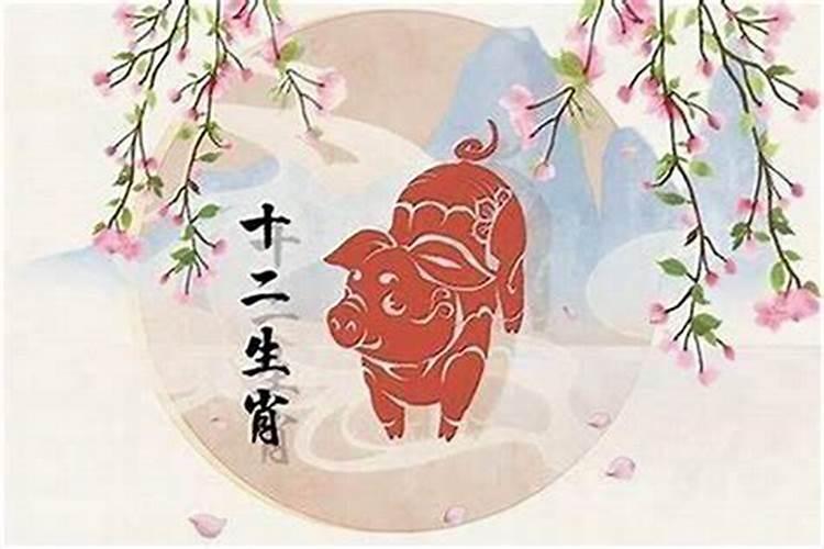 属猪今年适合结婚吗