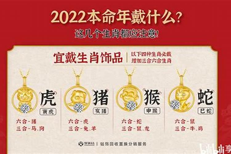 属龙的人在2023年的运程