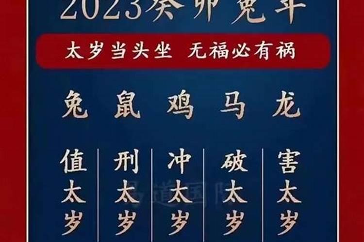 2023年属鼠人的运程如何