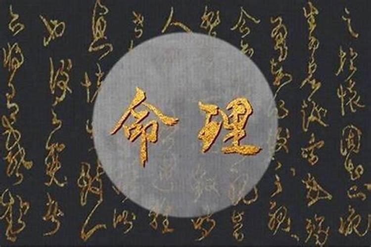 八字纯阳是什么样的