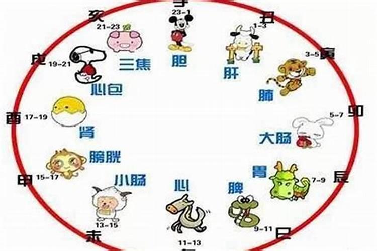 梦见猪什么意思