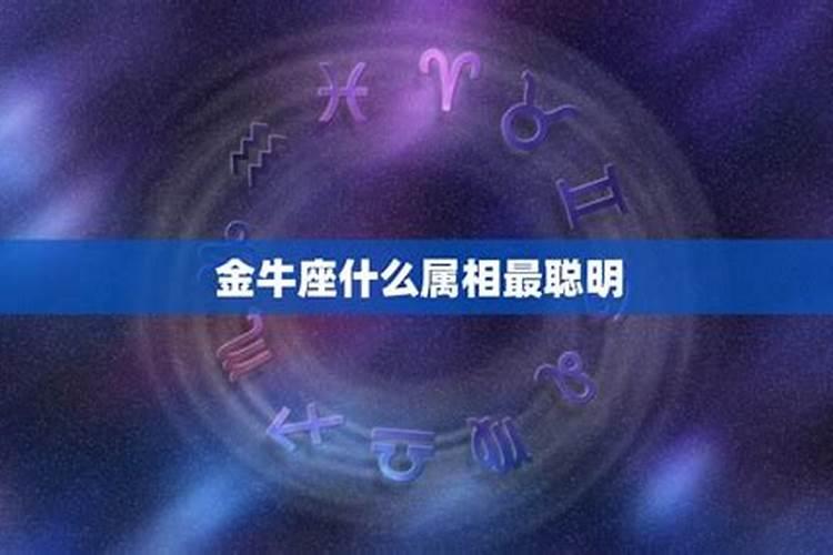 金牛座属什么生肖最容易成功