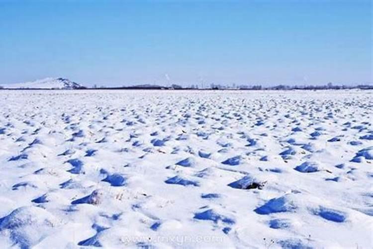 梦见满地大雪是什么预兆