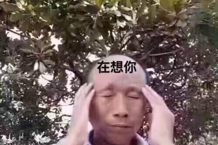 梦到的人也在想你什么意思