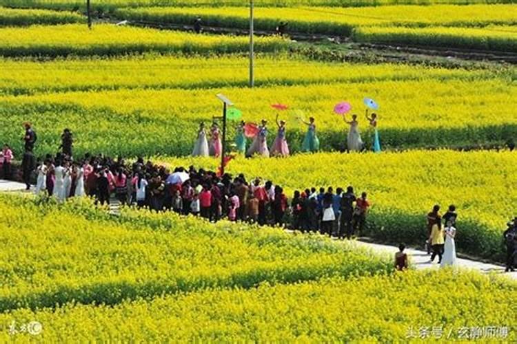 女属马男属蛇合婚吗