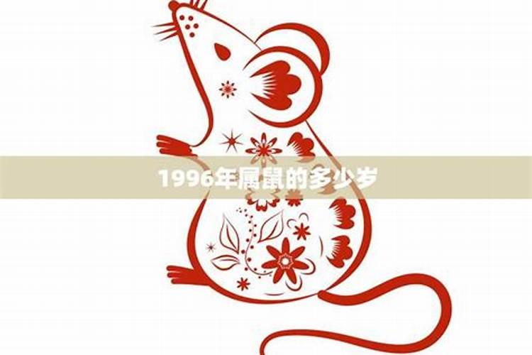 属鼠今年多少岁