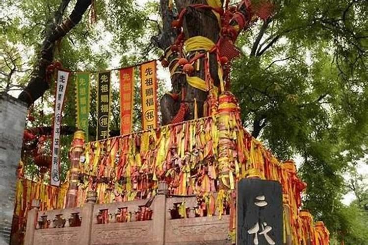 山西清明祭扫