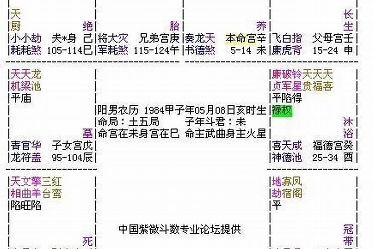 1981正月初五亥时出生