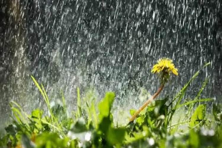 求学者梦见下大雨好不好