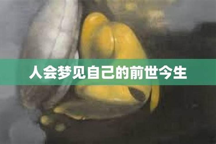 梦到自己的前世今生