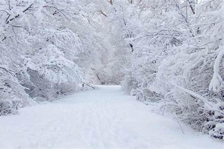 梦到下雪一片白茫茫