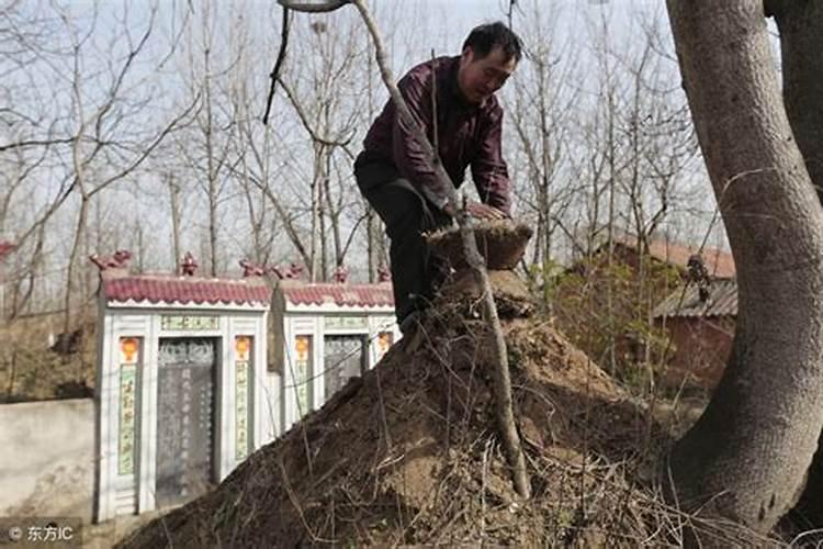 梦见跟老板吵架辞职了怎么回事