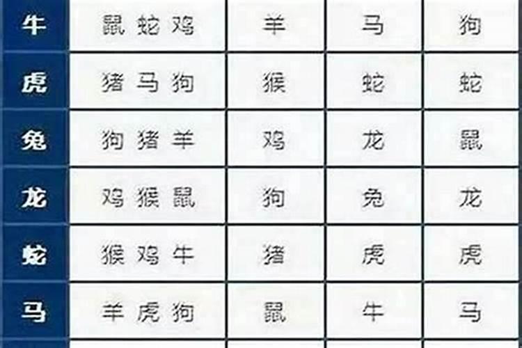 84男鼠94女狗八字合吗