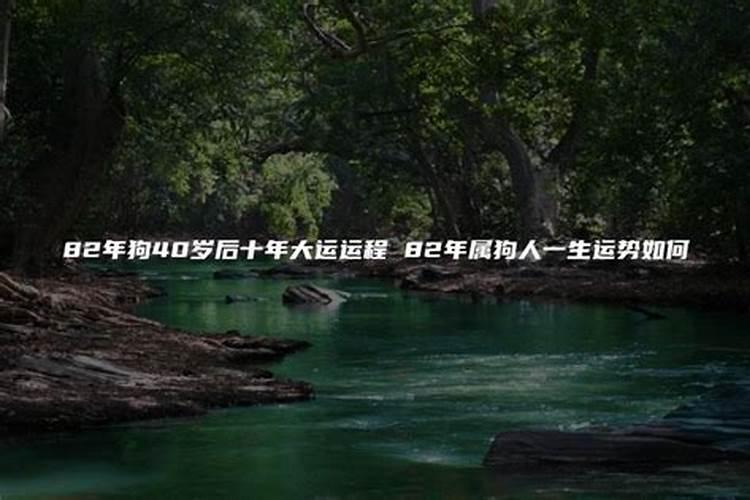 梦见找不到手机是什么意思