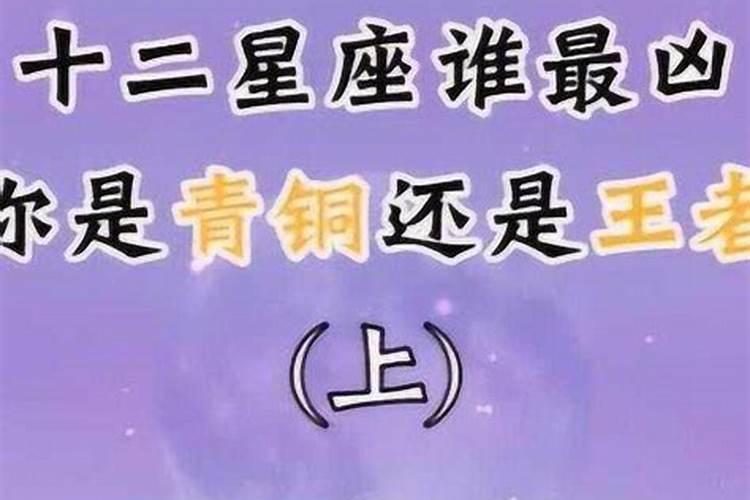 8岁属马的是什么星座