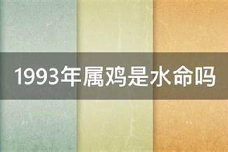 1993年属鸡五行是什么