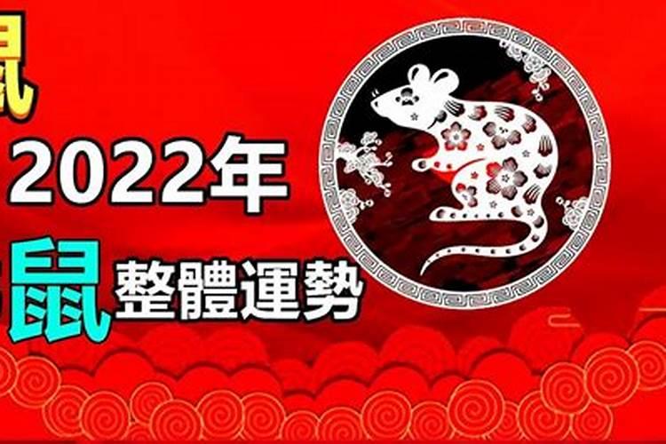 十二生肖2022年运势查询