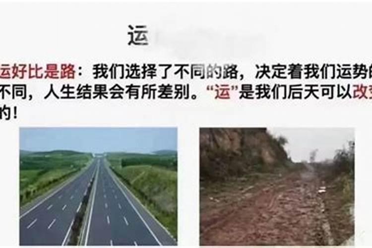 用生辰八字测开什么车