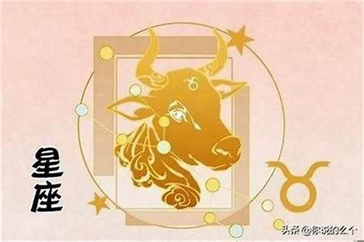 属马金牛座女致命弱点