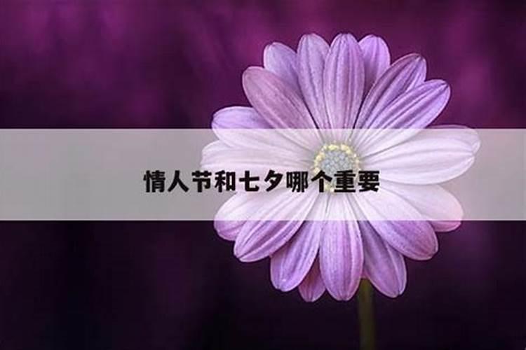 三八节和七夕节哪个重要