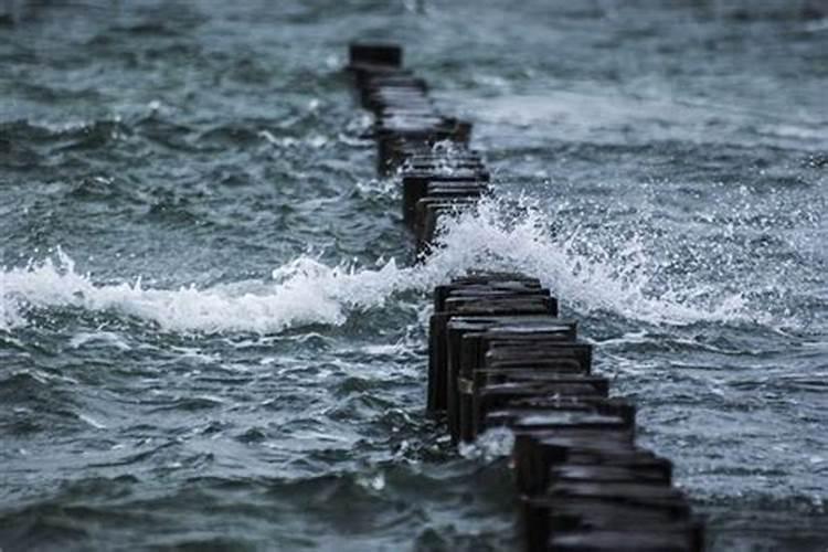 梦见大路上全是水流