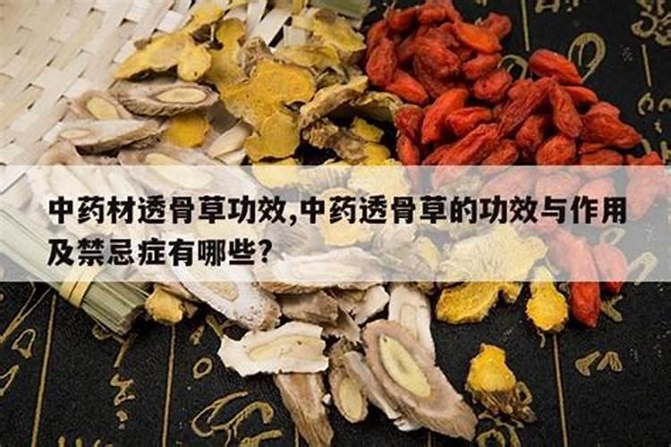 药材太岁的功效作用及禁忌症