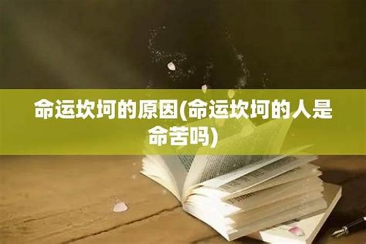 命运坎坷是什么意思