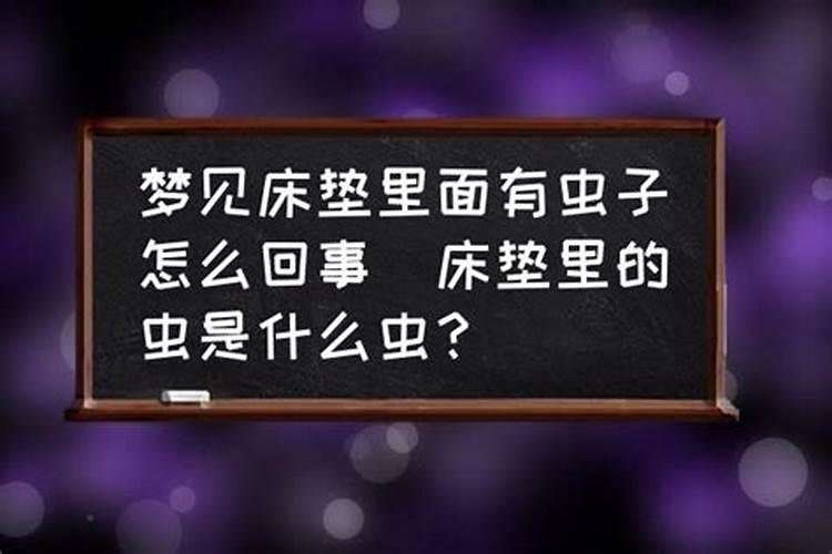 梦到自己拉好多虫子怎么回事