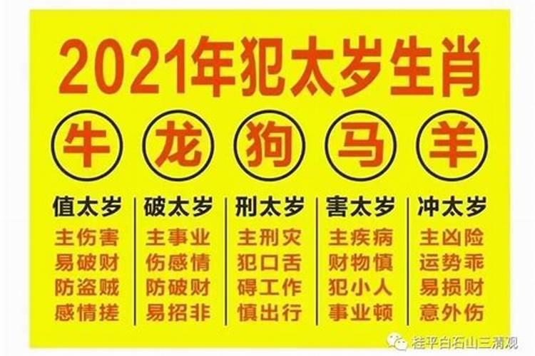 2021年属马的高考运怎么样