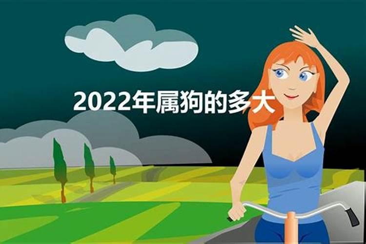 2022年属狗的有多少岁