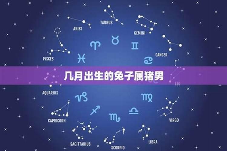 六月出生的兔子是什么星座